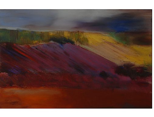 Pastel 31 X 47,5 (encadré)
